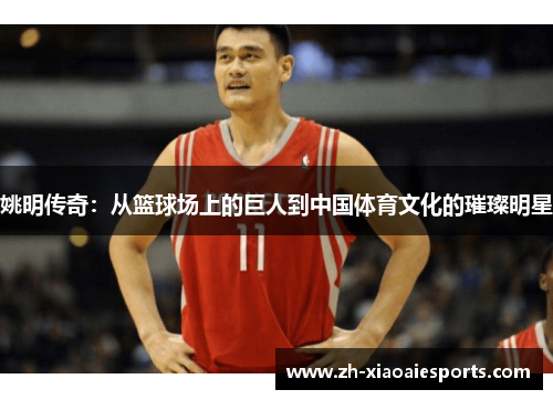 姚明传奇：从篮球场上的巨人到中国体育文化的璀璨明星