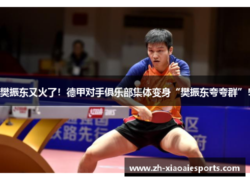 樊振东又火了！德甲对手俱乐部集体变身“樊振东夸夸群”！